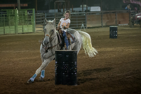 Super Horse Jackpot'14-5349