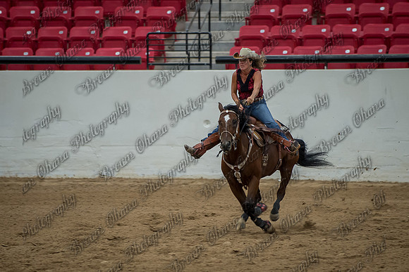 Buckles and Barrels for Bailey '14-1