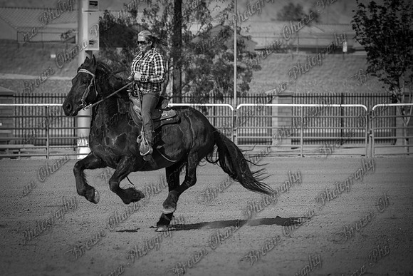 SNGA March Double Header 2014-298