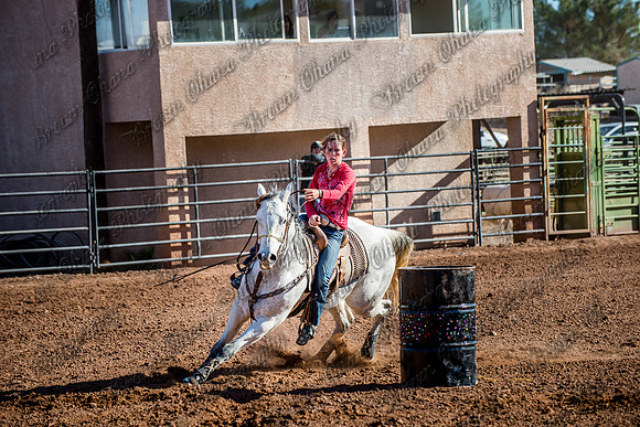 Superhorse Jackpot 11-29-14-3989