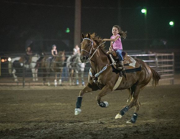 Super Horse Jackpot'14-5336