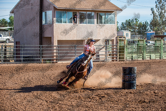 Superhorse Jackpot 11-29-14-4004