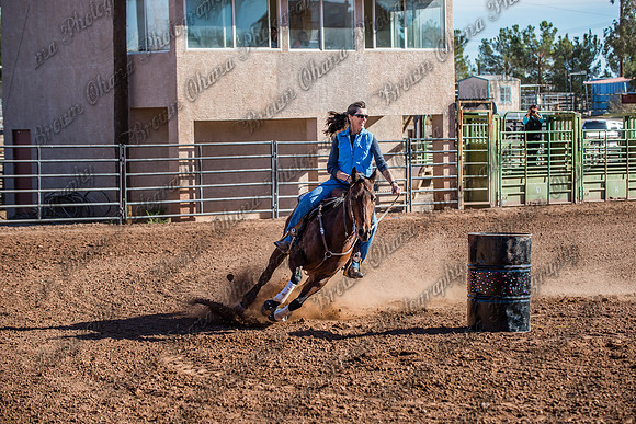 Superhorse Jackpot 11-29-14-3995