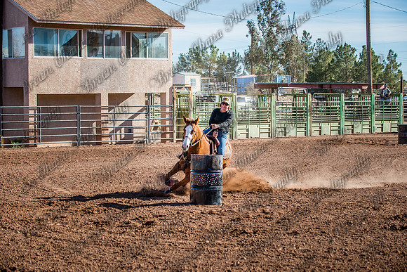 Superhorse Jackpot 11-29-14-4009