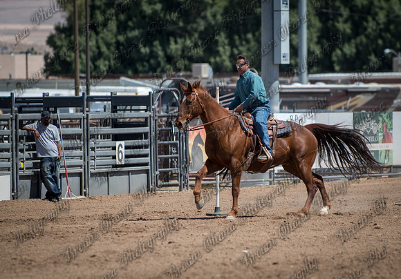 SNGA MAY '14-295