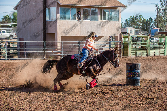Superhorse Jackpot 11-29-14-4006