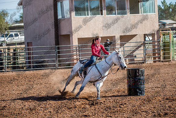 Superhorse Jackpot 11-29-14-3991