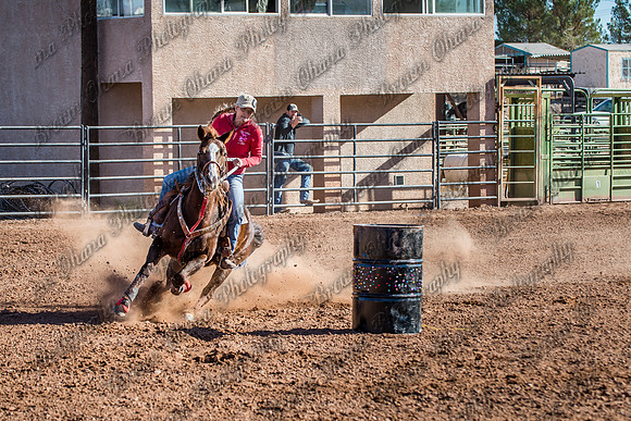 Superhorse Jackpot 11-29-14-3972