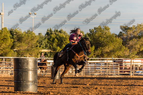 SNGA January 2015-7956