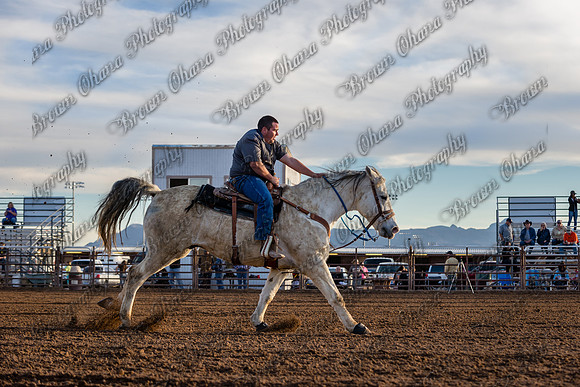 SNGA January 2015-7912