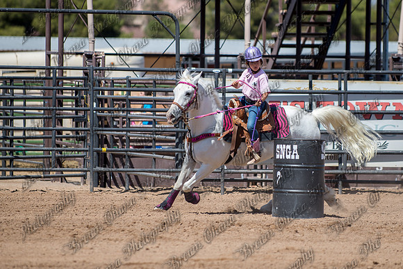 SNGA MAY '14-344