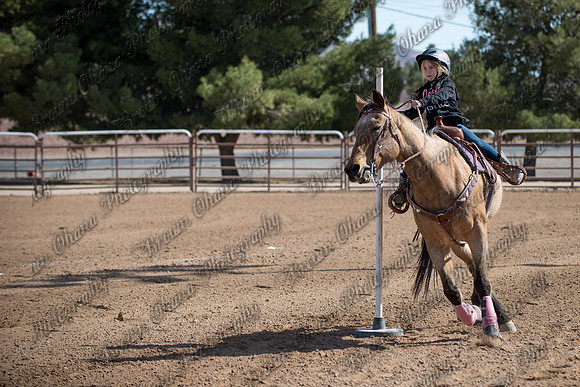 SNGA March Double Header 2014-75