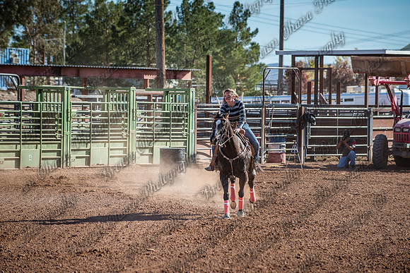 Superhorse Jackpot 11-29-14-3978