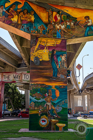 San Diego-3452