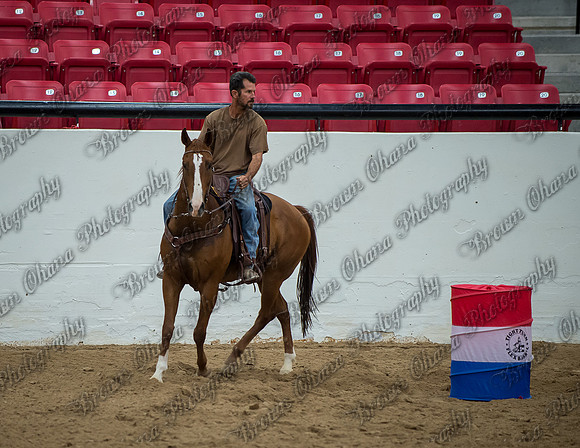 Buckles and Barrels for Bailey '14-1