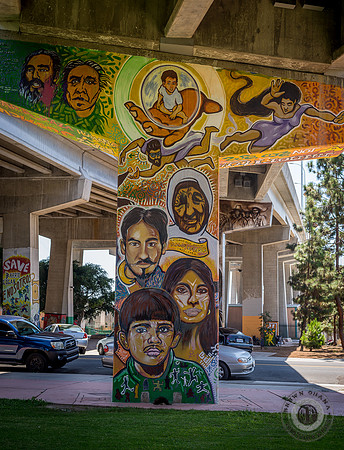 San Diego-3455