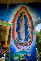 San Diego-3458