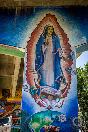 San Diego-3458