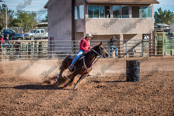 Superhorse Jackpot 11-29-14-3973