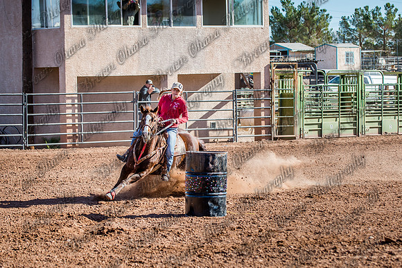 Superhorse Jackpot 11-29-14-3971