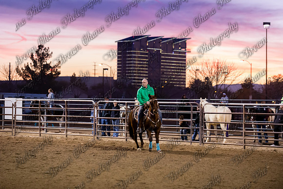 SNGA January 2015-8231
