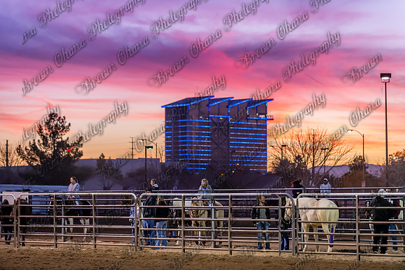 SNGA January 2015-8223