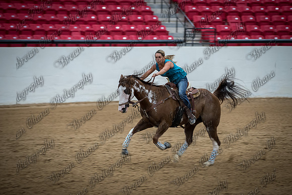 Buckles and Barrels for Bailey '14-1