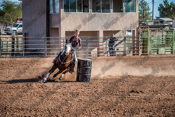 Superhorse Jackpot 11-29-14-3969