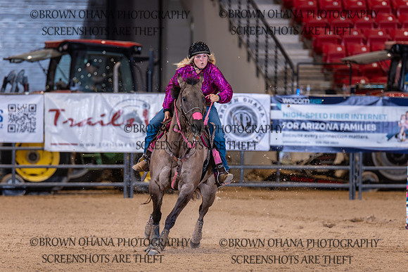 remy slobodian