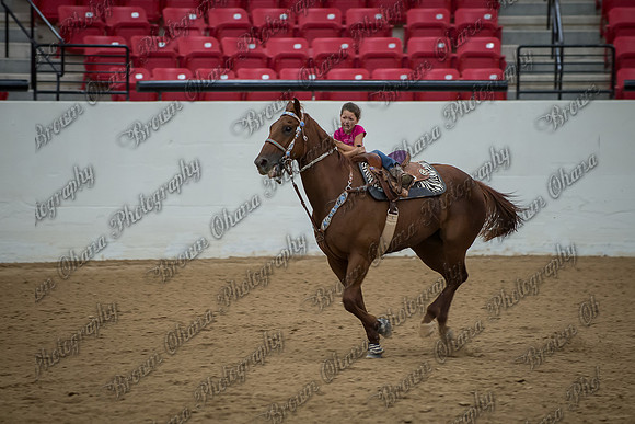 Buckles and Barrels for Bailey '14-1