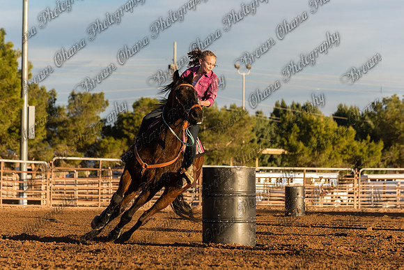 SNGA January 2015-7952