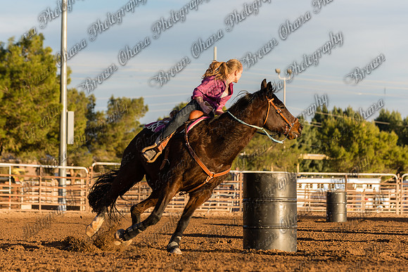 SNGA January 2015-7954