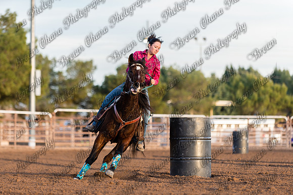SNGA January 2015-7989
