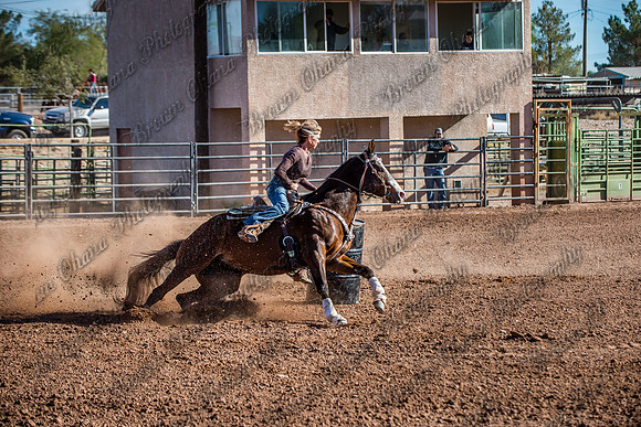 Superhorse Jackpot 11-29-14-3970