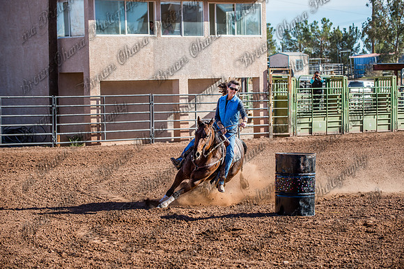 Superhorse Jackpot 11-29-14-3994