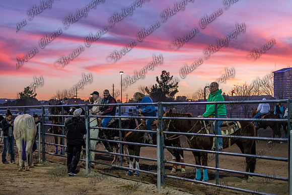 SNGA January 2015-8203