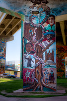 San Diego-3449