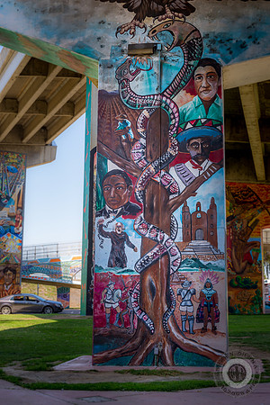 San Diego-3449