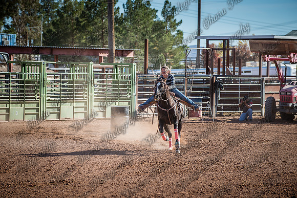Superhorse Jackpot 11-29-14-3977