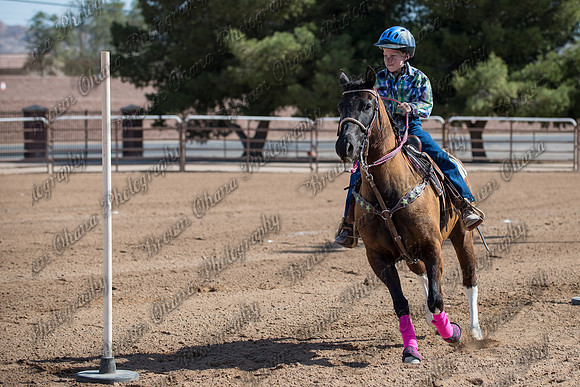 SNGA March Double Header 2014-79